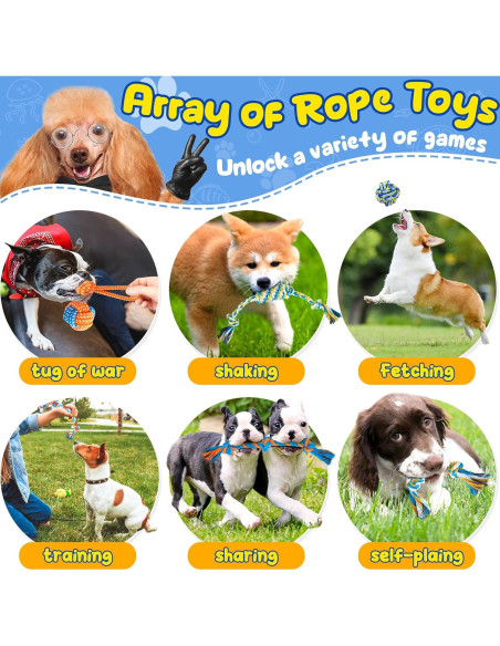 Paquete de Juguetes para Cachorros Eefitoys 23 Piezas Interactivos