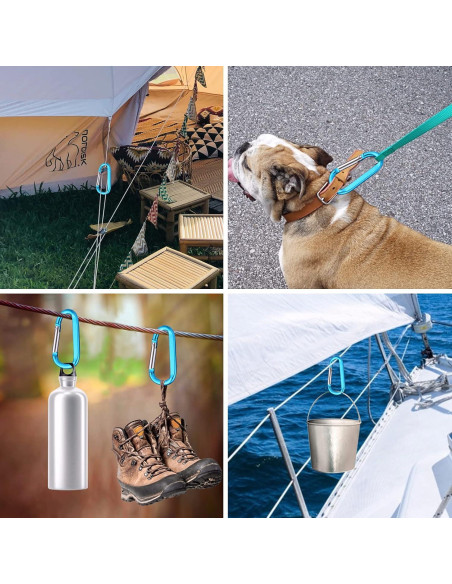 6 Clips de Carabiner de Aluminio CampTek 79mm Multicolor