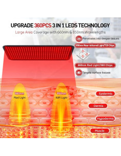 Alfombra de Terapia de Luz Roja Rikimxin 360 LEDs 80 x 30 cm 2
