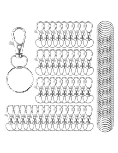 100 Ganchos de Llavero HXSEMAYIG con Cierres de Langosta Plata