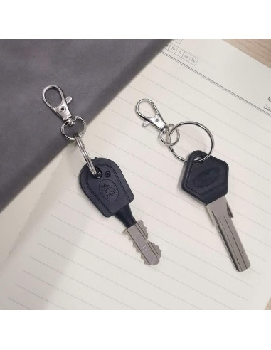 100 Ganchos de Llavero HXSEMAYIG con Cierres de Langosta Plata