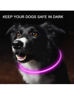 Collar LED para Perros Novkin Rojo y Rosa 2 Paquetes 2