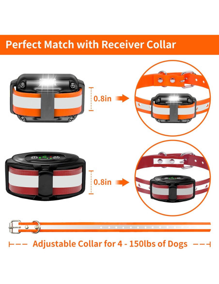 Correa de Repuesto PaiPaitek para Collar de Choque 1,9 cm Correa de Repuesto PaiPaitek para Collar de Choque 1,9 cm