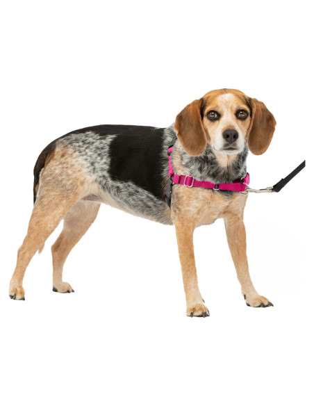 Arnés para Perros PetSafe Easy Walk Sin Tirones - Pequeño/Mediano Arnés para Perros PetSafe Easy Walk Sin Tirones - Pequeño/Mediano
