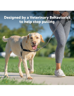 Arnés para Perros PetSafe Easy Walk Sin Tirones - Pequeño/Mediano 2