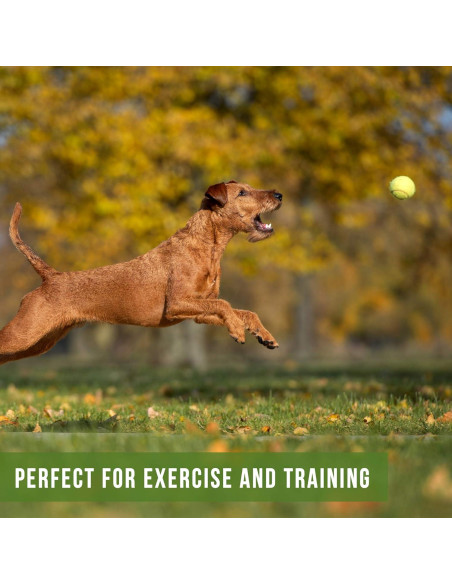 Pelotas de Tenis Hyper Pet para Perros - Paquete de 2