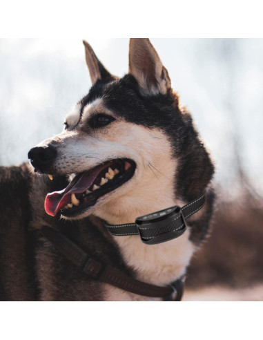 Collar de Reemplazo JIPIMON Nylon Reflectante Ajustable 71cm