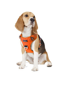 Arnés para Perros Funfox Mediano Naranja Ajustable Reflectante
