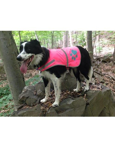 Chaleco Reflectante para Perros SafetyPUP Mediano Rosa