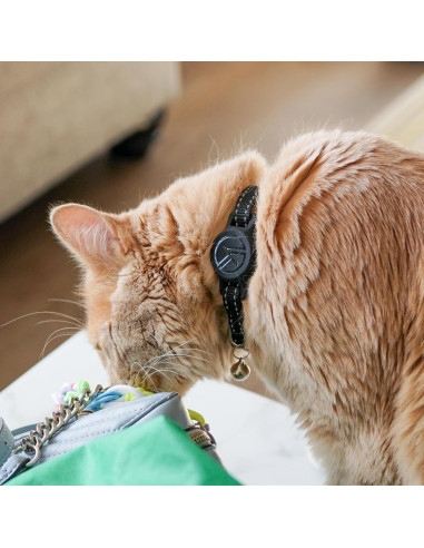 Soporte de Silicona para Collar de Gato TJD Essentials Negro
