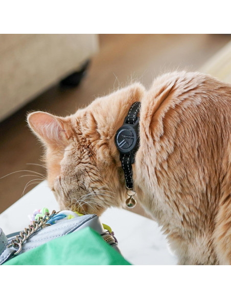 Soporte de Silicona para Collar de Gato TJD Essentials Negro