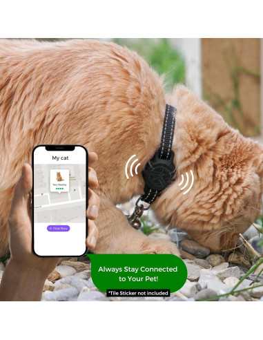 Soporte de Silicona para Collar de Gato TJD Essentials Negro