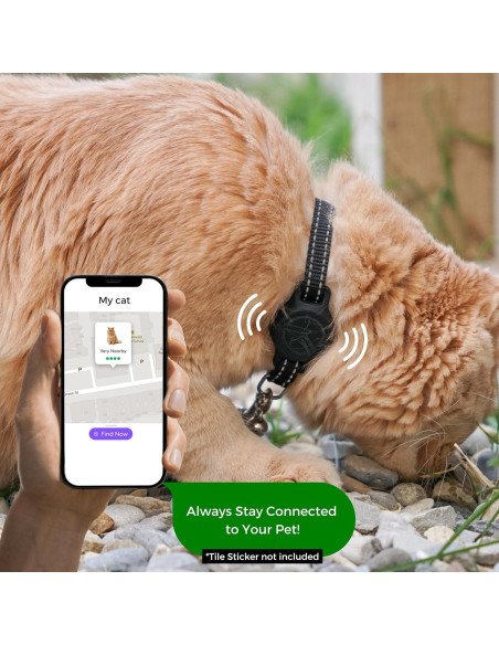 Soporte de Silicona para Collar de Gato TJD Essentials Negro