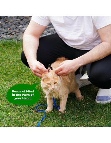 Soporte de Silicona para Collar de Gato TJD Essentials Negro