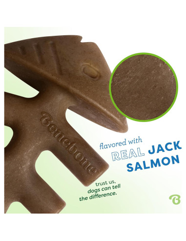 Benebone Fishbone Juguete Duradero para Perros Mediano