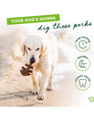 Benebone Fishbone Juguete Duradero para Perros Mediano