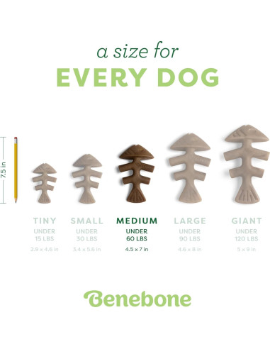 Benebone Fishbone Juguete Duradero para Perros Mediano