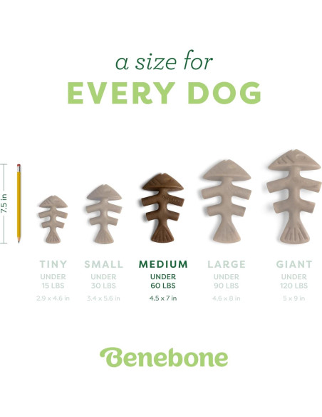 Benebone Fishbone Juguete Duradero para Perros Mediano