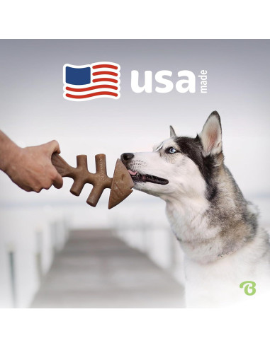 Benebone Fishbone Juguete Duradero para Perros Mediano