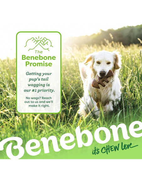 Benebone Fishbone Juguete Duradero para Perros Mediano