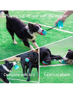 Juguete Interactivo para Perros ALLRIER con Cuerda y Ventosa 2