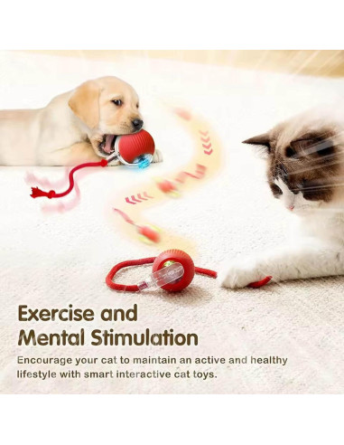 2 Juguetes Interactivos para Gatos y Perros JinRui-T