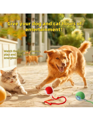 2 Juguetes Interactivos para Gatos y Perros JinRui-T