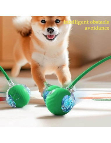 2 Juguetes Interactivos para Gatos y Perros JinRui-T