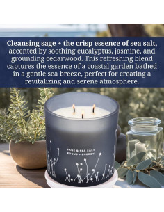 Vela Aromática de Soja 3 Mechas Sal Marina y Salvia 411g 2