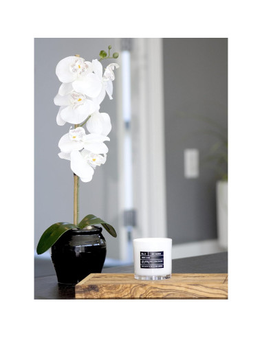 Vela Aromática de Soya Lulu 9 Oz En El Estado de Ánimo