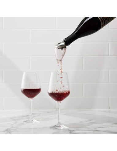 Aereador y Vertedor de Vino Houdini Acero Inoxidable 15 cm