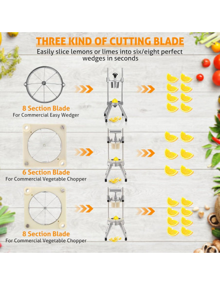 Cuchilla de 8 Secciones WICHEMI de Acero Inoxidable para Frutas y Verduras