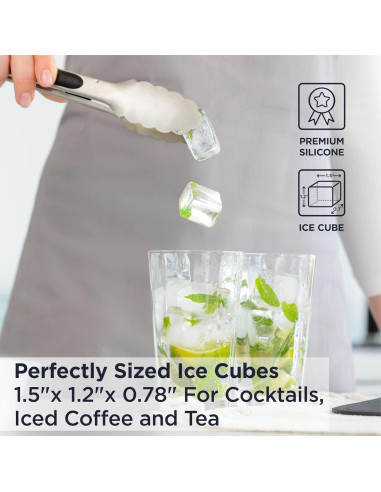 Bandeja de Hielo Deiss PRO con Tapa 2 Pack Silicona