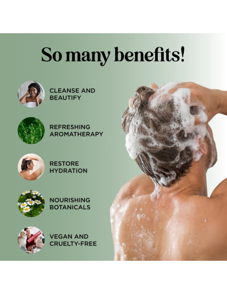 Champú Revitalizante Honeydew Árbol de Té y Menta 250ml