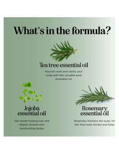 Champú Revitalizante Honeydew Árbol de Té y Menta 250ml