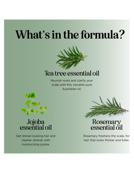 Champú Revitalizante Honeydew Árbol de Té y Menta 250ml