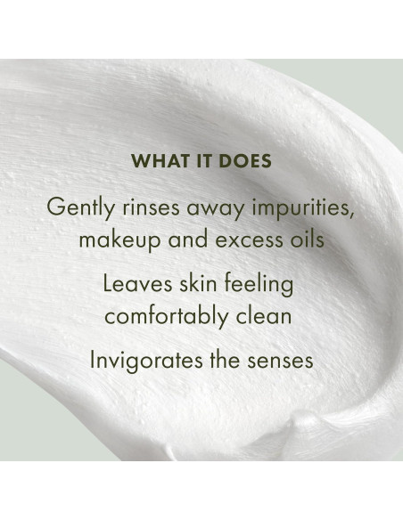 Espuma Limpiadora Facial Origins Checks and Balances 140g