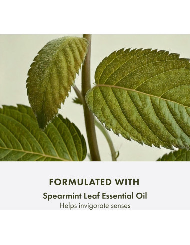 Espuma Limpiadora Facial Origins Checks and Balances 140g