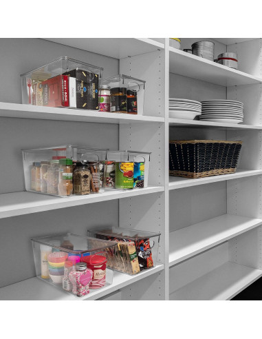 Bins de Almacenamiento ClearSpace 4 Paquete 27,94x19,05x15,24cm