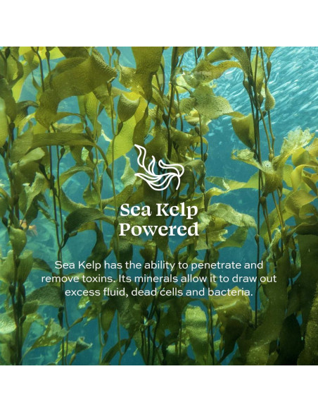 Loción Corporal Prebiótica Aleavia Sin Fragancia 355 ml Loción Corporal Prebiótica Aleavia Sin Fragancia 355 ml