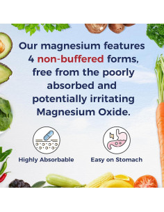 Suplemento Complejo de Magnesio Vitalitown 500mg 120 Cápsulas 2