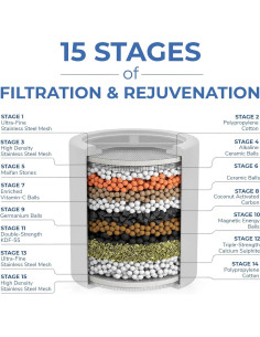 Cartucho Filtro Ducha ZYNAFLO 15 Etapas Paquete de 2 2