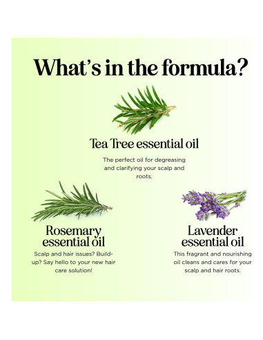 Champú Revitalizante Maple Holistics 236ml Árbol de Té