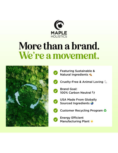 Champú Revitalizante Maple Holistics 236ml Árbol de Té