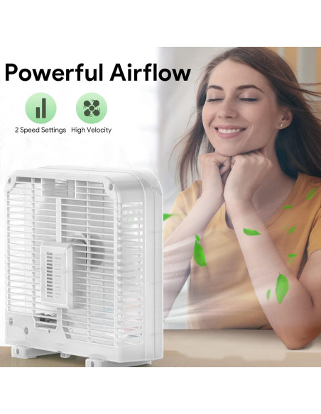 Ventilador de Mesa SHINIC 10" Silencioso 2 Velocidades Negro