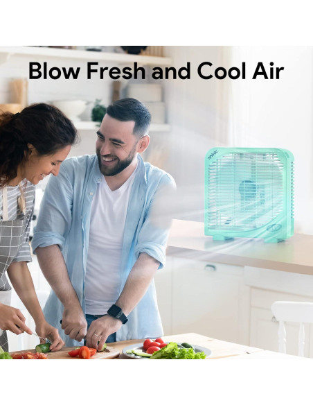 Ventilador de Mesa SHINIC 10" Silencioso 2 Velocidades Negro