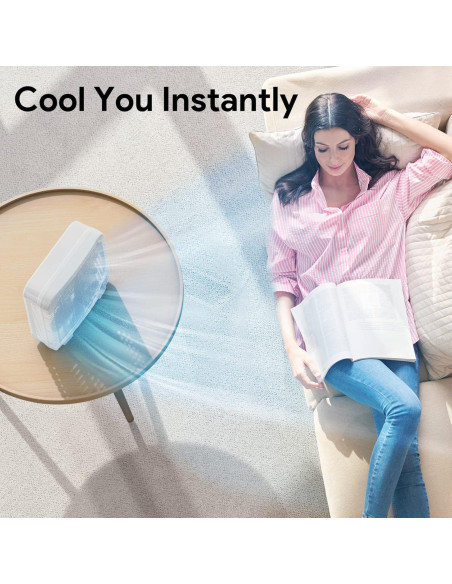 Ventilador de Mesa SHINIC 10" Silencioso 2 Velocidades Negro