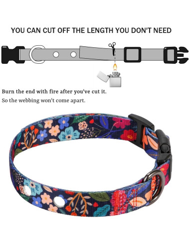 Correa de Reemplazo Rhea Rose 1" para Collar de Choque