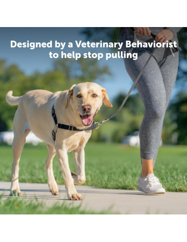 Arnés para Perros PetSafe Easy Walk Sin Tirones - Pequeño/Mediano