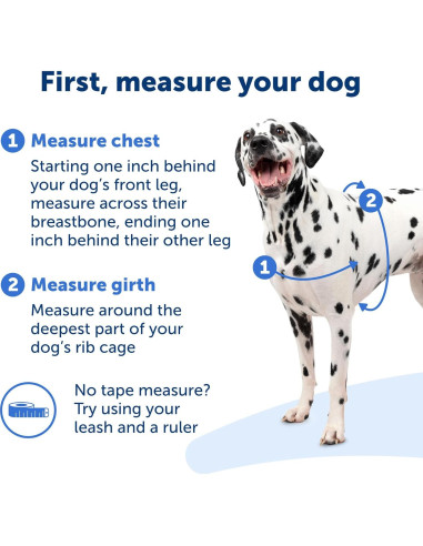 Arnés para Perros PetSafe Easy Walk Sin Tirones - Pequeño/Mediano